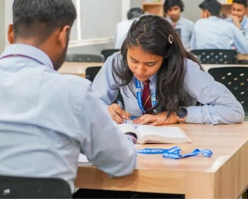 A Guide to Effective Student Placement Strategies: Know Now