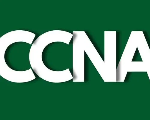 How-to-Learn-Automation-and-Programmability-in-CCNA